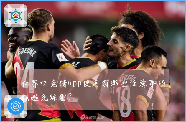 世界杯竞猜app使用前哪些注意事项能避免踩雷？