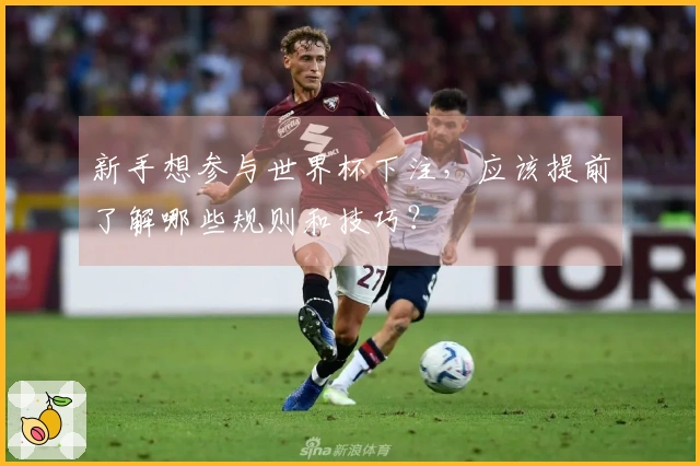 新手想参与世界杯下注,应该提前了解哪些规则和技巧?