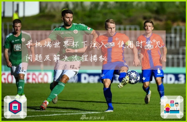 手机端世界杯下注入口使用时常见问题及解决流程揭秘