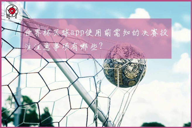 世界杯买球app使用前需知的决赛投注注意事项有哪些？