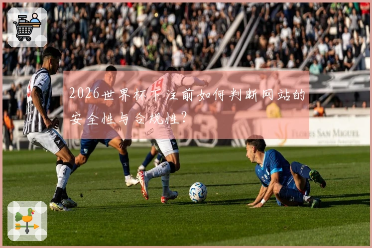 2026世界杯下注前如何判断网站的安全性与合规性？