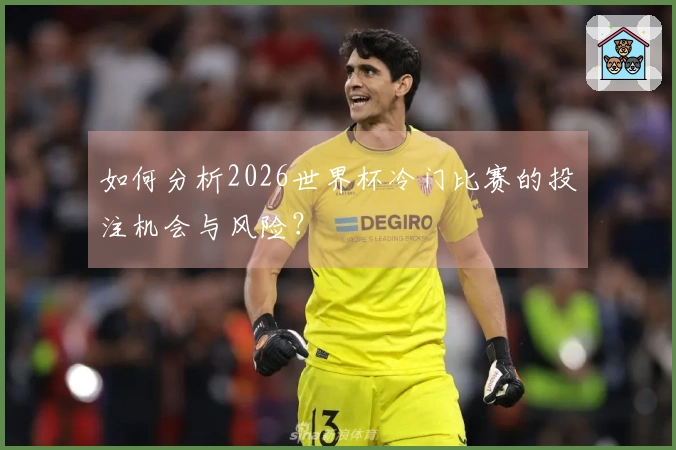 如何分析2026世界杯冷门比赛的投注机会与风险？