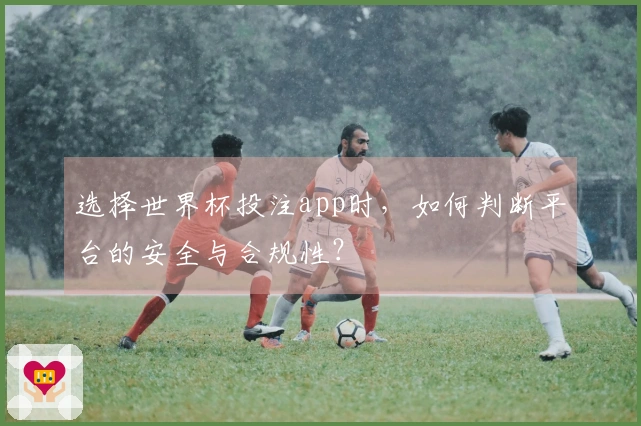 选择世界杯投注app时，如何判断平台的安全与合规性？