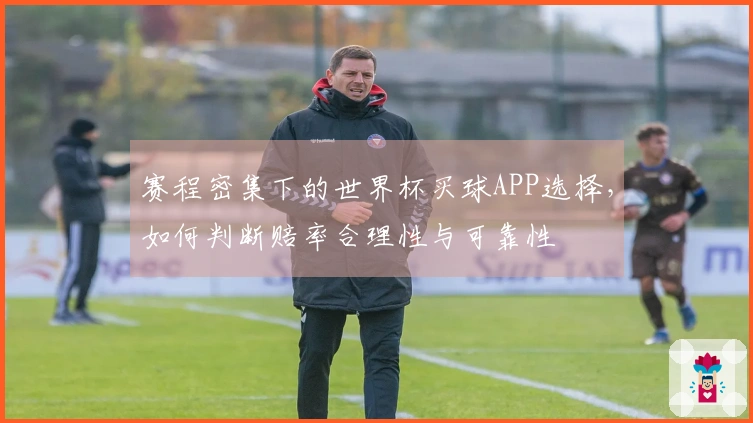 赛程密集下的世界杯买球APP选择，如何判断赔率合理性与可靠性