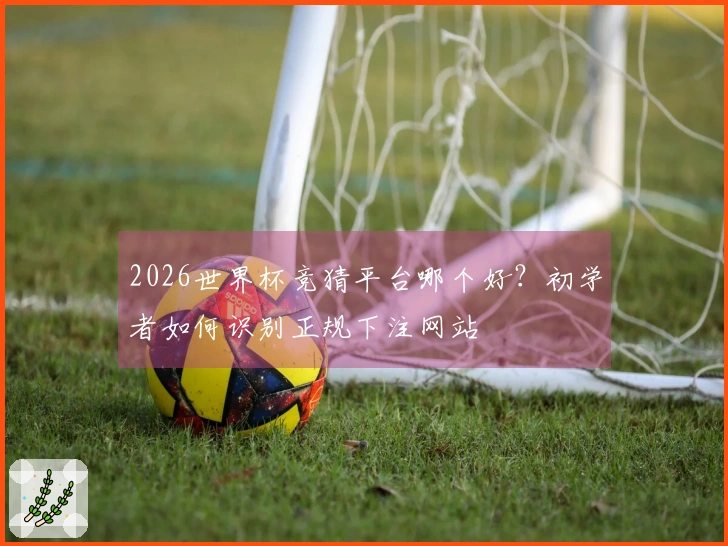 2026世界杯竞猜平台哪个好?初学者如何识别正规下注网站