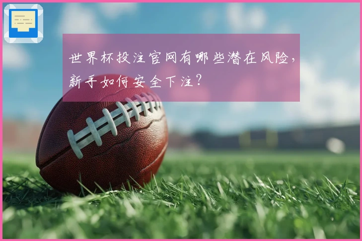 世界杯投注官网有哪些潜在风险，新手如何安全下注？