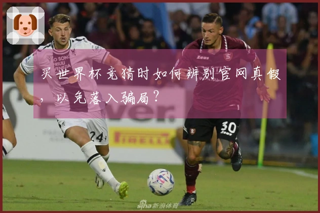 买世界杯竞猜时如何辨别官网真假，以免落入骗局？
