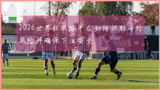 2026世界杯买球平台如何识别海外风险并确保下注安全