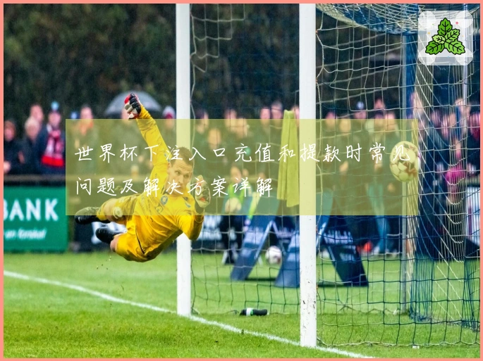 世界杯下注入口充值和提款时常见问题及解决方案详解