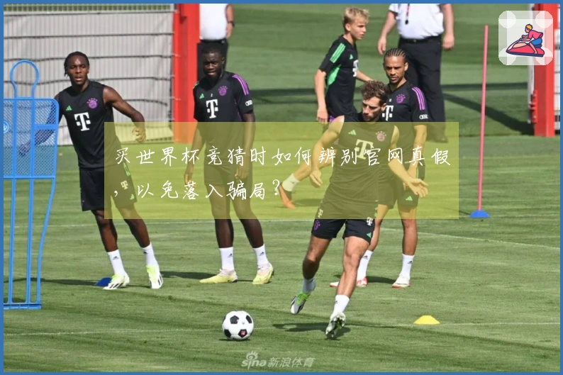 买世界杯竞猜时如何辨别官网真假,以免落入骗局?
