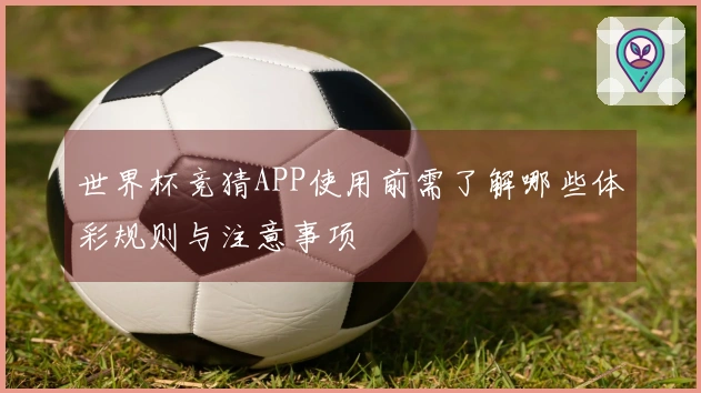 世界杯竞猜APP使用前需了解哪些体彩规则与注意事项