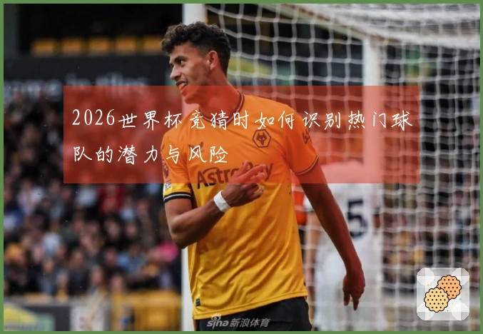 2026世界杯竞猜时如何识别热门球队的潜力与风险