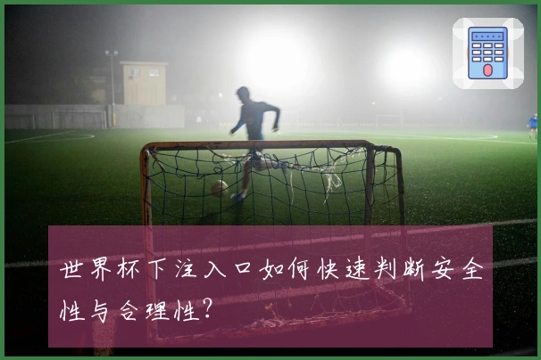 世界杯下注入口如何快速判断安全性与合理性?