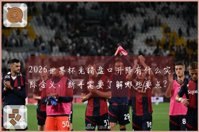 2026世界杯竞猜盘口升降有什么实际含义，新手需要了解哪些要点？