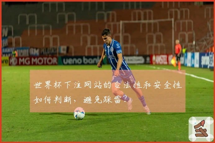 世界杯下注网站的合法性和安全性如何判断,避免踩雷?