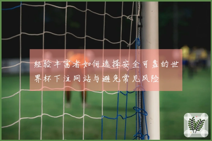 经验丰富者如何选择安全可靠的世界杯下注网站与避免常见风险