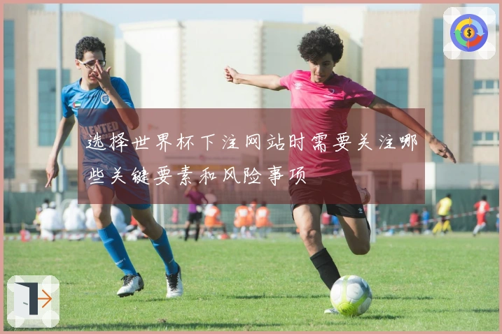 选择世界杯下注网站时需要关注哪些关键要素和风险事项