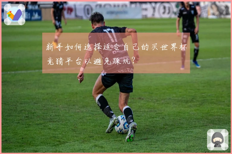 新手如何选择适合自己的买世界杯竞猜平台以避免踩坑？