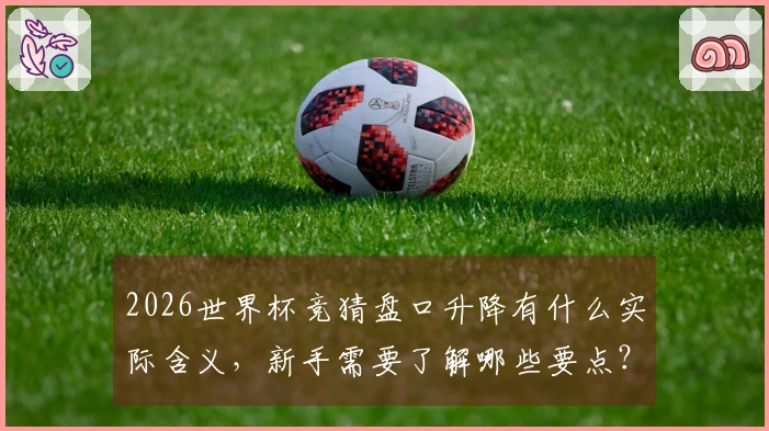 2026世界杯竞猜盘口升降有什么实际含义，新手需要了解哪些要点？