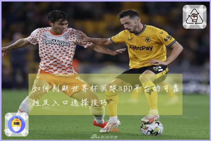 如何判断世界杯买球app平台的可靠性及入口选择技巧
