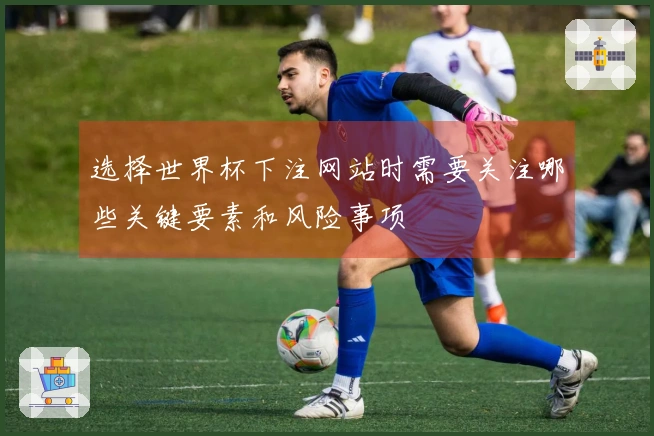 选择世界杯下注网站时需要关注哪些关键要素和风险事项