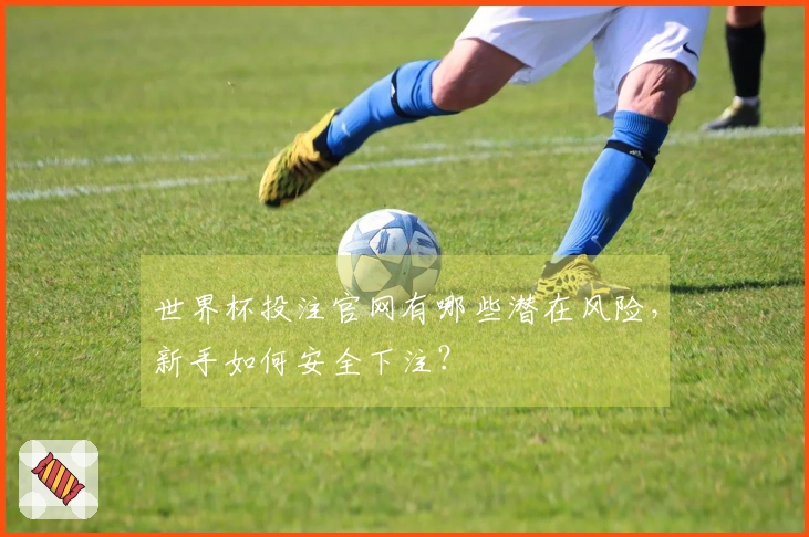 世界杯投注官网有哪些潜在风险，新手如何安全下注？