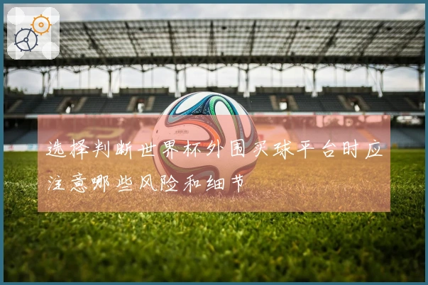 选择判断世界杯外围买球平台时应注意哪些风险和细节