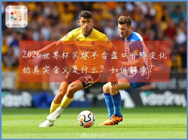 2026世界杯买球平台盘口升降变化的真实含义是什么？如何解读？