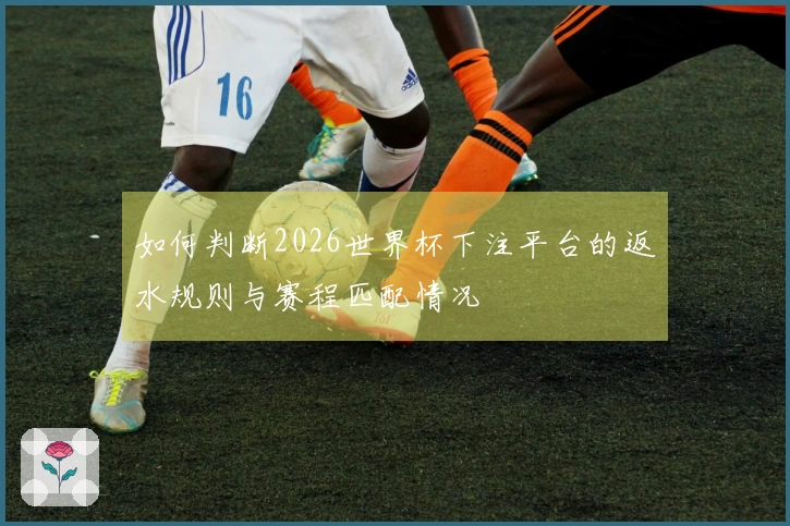 如何判断2026世界杯下注平台的返水规则与赛程匹配情况