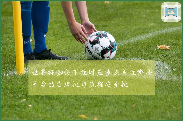 世界杯如何下注时应重点关注哪些平台的合规性与流程安全性
